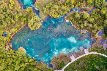 Wall Mural - Zelenci Nature Reserve in Northern Slovenia, taken in June 2021