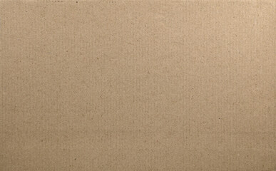 Wall Mural - Cardboard texture background