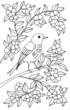 The bird is sitting in the flowering branches. Coloring page