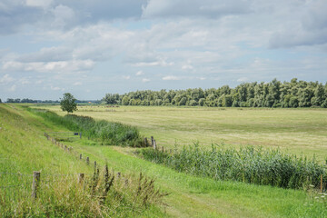 Wall Mural - field and sky with clouds