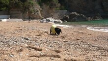 Curious Dachshund Puppy Has Got To Place Where It Has Not Been Before, So It Sniffs Everything Carefully To Get Acquainted With Unknown Terrain. Dog Walks On Beach.