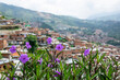 Panoramic view of the Comunas of Medellín, Antioquia, Colombia