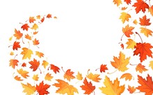 Autumn Background With Flying And Falling Maple Leaves. Colorful Banner With Swirling Red, Yellow And Orange Leaves. Template For Wave Autumn Pattern With An Empty Space For Text. Isolated. Vector