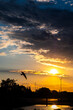 © Dain - Patriotic Sunset