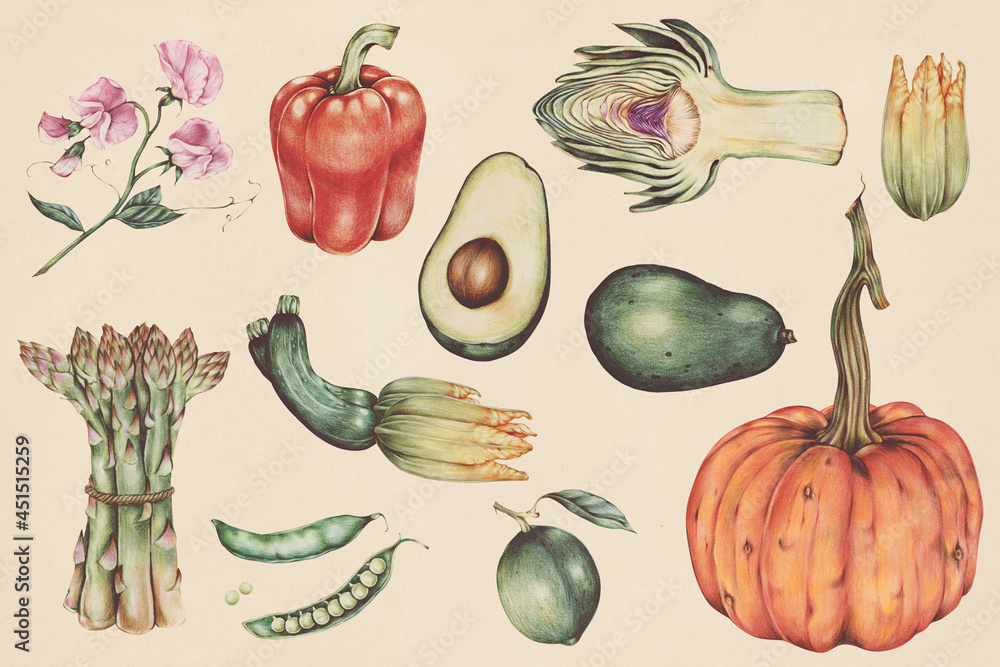 Hand drawn vegetable pattern illustration - obrazy, fototapety, plakaty 