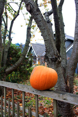 Wall Mural - Vertical shot of a pumpkin for Halloween