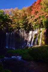  秋　紅葉の白糸ノ滝