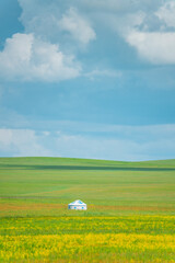 The grassland landscape in Hulun Buir, Inner Mongolia, China, summer time.