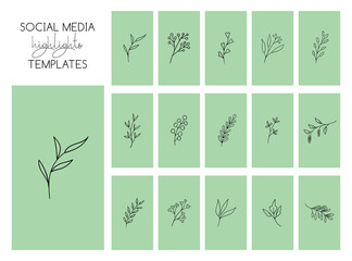 Wall Mural - social media highlights stories templates with hand drawn plants on a green background. vector minim