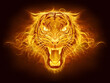 Tiger head made of fire with flame background. Digital painting.