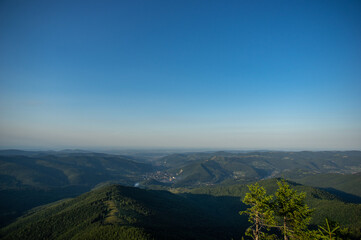 Wall Mural - panorama of the carpathian mountains, beautiful summer landscape