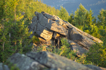 Wall Mural - rock among the forest on the background of the carpathian mountains in summer