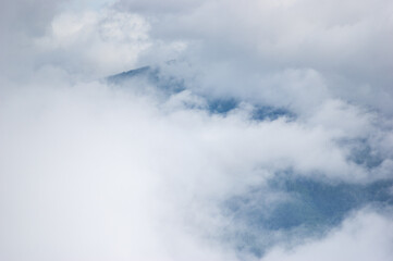 Wall Mural - forest in the fog on a summer morning in the mountains