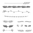 © KY - Hand drawn floral dividers, leaf lines, vector illustration set