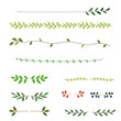 © KY - Hand drawn floral dividers, leaf lines, vector illustration set