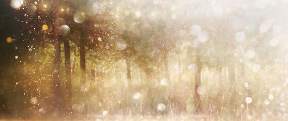 blurred abstract photo of light burst among trees and glitter golden bokeh lights