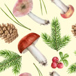 Watercolor seamless pattern of autumn forest. Hand painted mushrooms, spruce, pine needles, cones