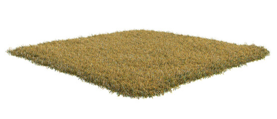 Squared surface patch covered with dry grass isolated on white background. Realistic natural element for design. Bright 3d illustration.