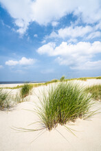 Beautiful Dune Beach With Beachgrass In Summer