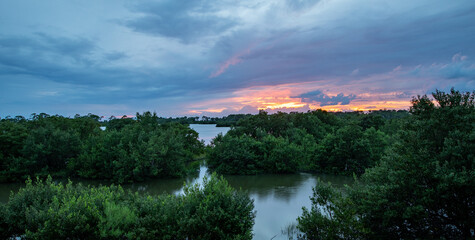  A scenic sunset in Cedar Key, Florida over the mangroves. 