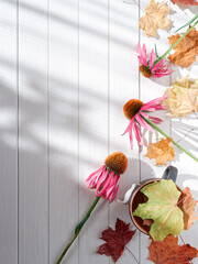 Wall Mural - Autumn arrangement of fresh echinacea flowers and dried maple leaves. The background is made of white wooden planks. Autumn, fall composition, concept. Flat lay, top view, copy space.