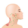 © la vector - The location of the lymph node on the head and neck of a person