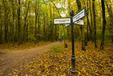 Fototapeta  - Street Pillar With Navigation Signs With Texts In Autumn Park.