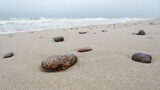 Fototapeta  - Morski kamień w kolorach jesieni. Jesień ubarwiła 
 nadbrzeżny kamyk, który teraz wyróżnia się spośród szarości jesiennego morza.