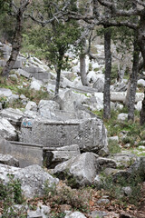 stone and marble debris in grass, ancient city Termessos in Turkey