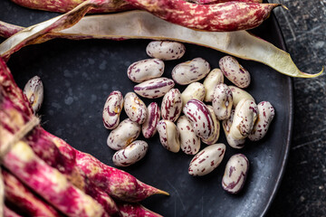 Sticker - Cranberry beans. Beans pods