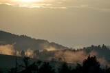 Fototapeta Na drzwi - Polana we mgle zachód słońca panorama	
