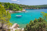 Fototapeta Kwiaty - Scenic bay with rocky beaches nearby Milna on the south-west coast of Brac island in Croatia