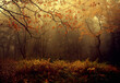 Mgła w lesie, jesienny krajobraz