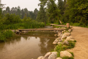 Wall Mural - Mississippi River with Log Footbridge