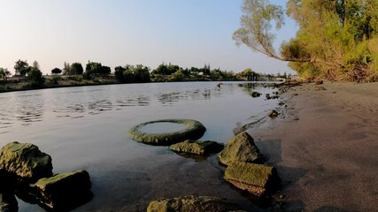 Wall Mural - Old tire on shore of river