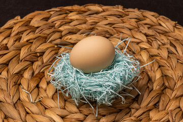 Sticker - 新鮮たまごのイメージ　Image photo of chicken egg 