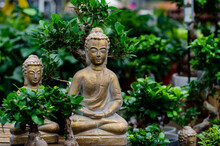Close Up Of  Buddha Statue In Bonsai Trees Garden