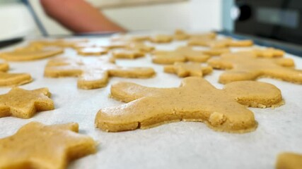 Canvas Print - gingerbread cookie for christmas