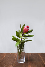 A Pink Protea Flower On A Small Glass Vase Placed On Top Of A Wooden Table.