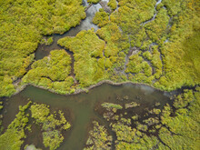 Wetlands From Above