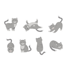  This is a set of cats in different poses on a white background.