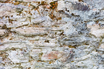 Wall Mural - Grey stone wall texture