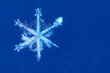 Macro image of a single snowflake