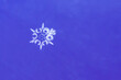 Macro image of a single snowflake