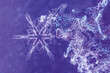 Macro image of snowflakes on purple background