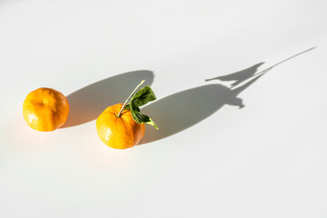 Two tangerines in the sun casting an elongated shadow on a white studio background