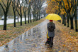 © somemeans - Mom with baby carriage walks in the rain in autumn park. Alley with fallen leaves. Woman with yellow umbrella. Back view