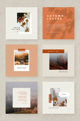 Wall Mural - autumn color tone social media blog template vector
