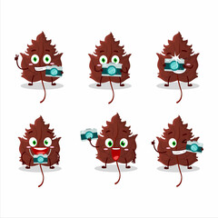 Poster - Photographer profession emoticon with hawthorn leaf cartoon character