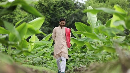 Wall Mural - Young Indian farmer at green banana field